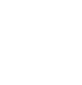 Home Icon
